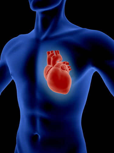Coronary or Ischaemic Heart Disease Health Plan