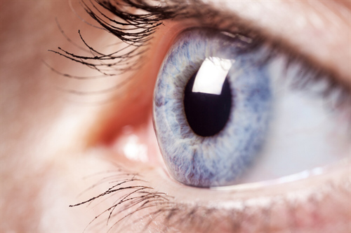 Dry Eyes – Blepharitis Health Plan
