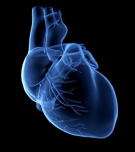 Diseased Heart Valves Heart Plan