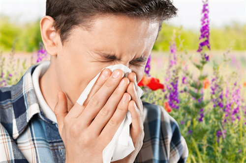 Hay Fever Health Plan