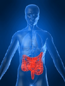 Chronic Gut Inflammation Could Spark Colon Cancer 