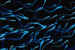 how to improve male fertility