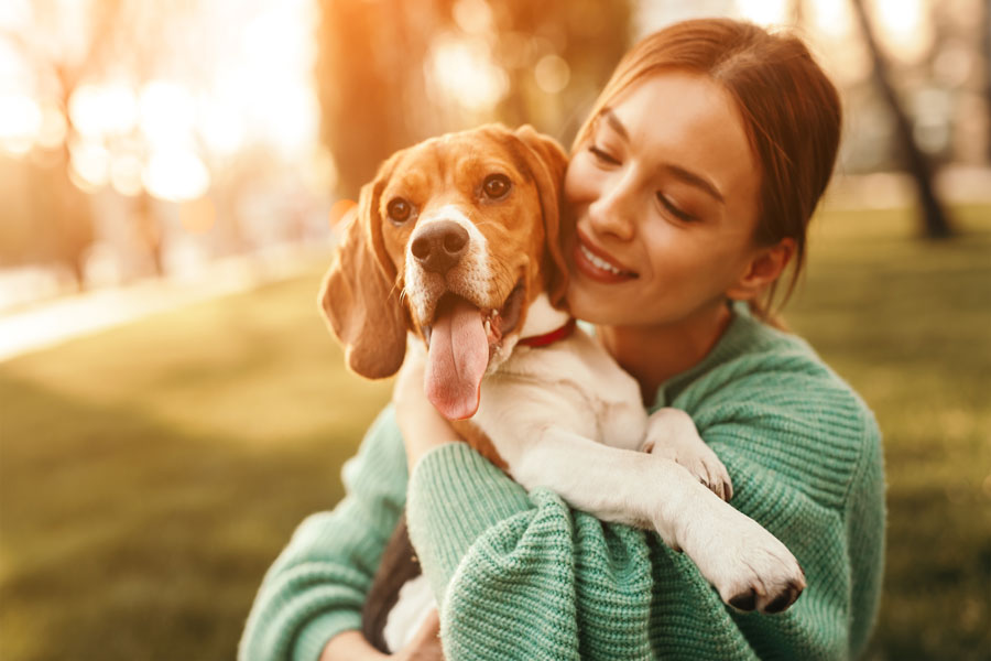 Unleash Your Health and Happiness: Discover How Your Furry Friend Can Keep You Both Pawsitively Fit and Joyful