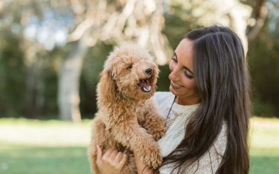 Paws Up! Here’s How To Keep Your Pet Healthy With Serrapeptase